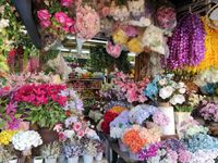 blumen hua hin basar markt thailand